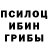 Галлюциногенные грибы Cubensis Ema 93