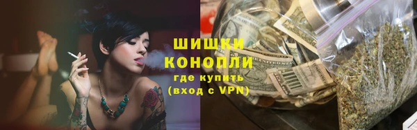 крисы Вязьма