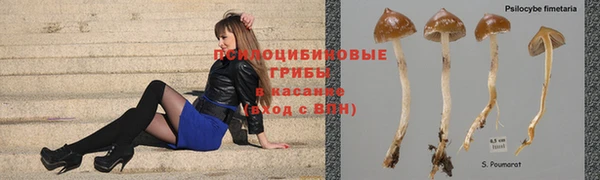 мет Горняк