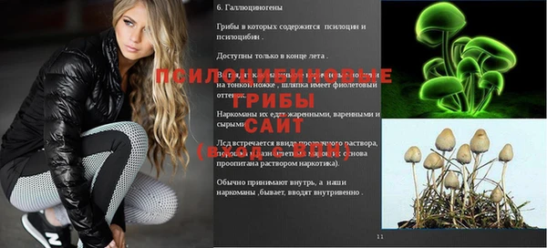 молекула духа Горнозаводск