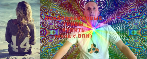 шишки Домодедово