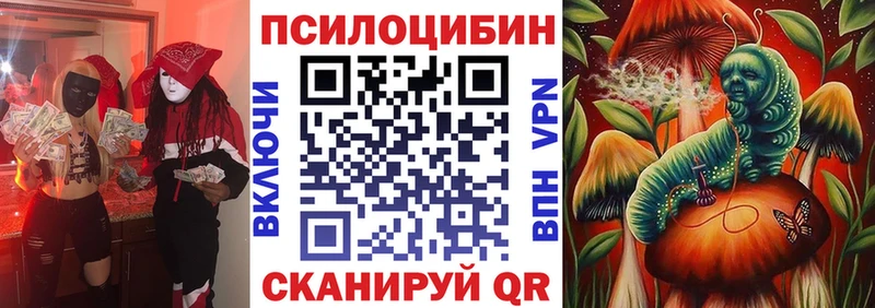 маркетплейс официальный сайт  Заводоуковск  Галлюциногенные грибы Cubensis 